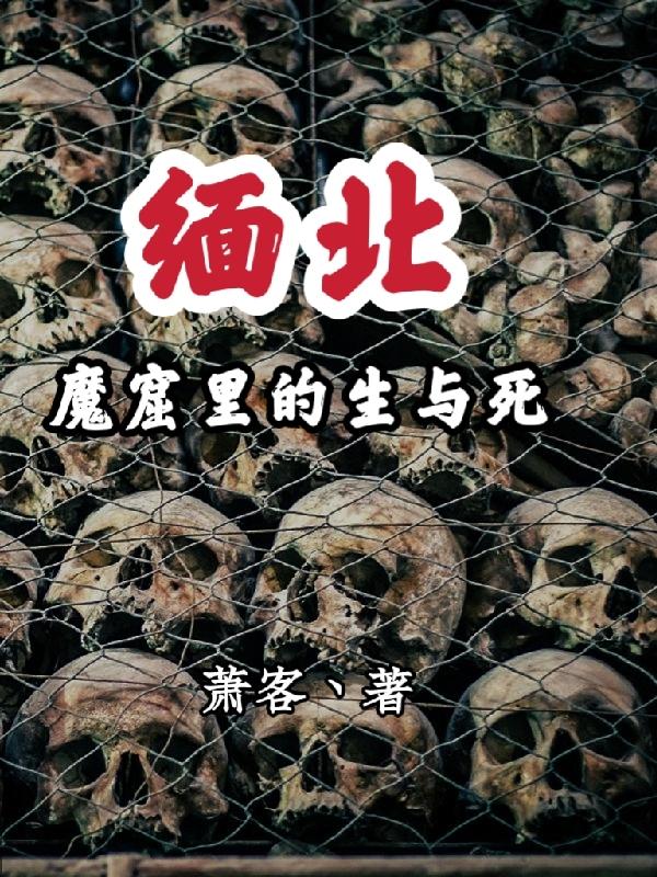 缅北魔窟里的生与死严北
