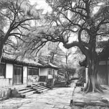 账房先生财税服务有限公司